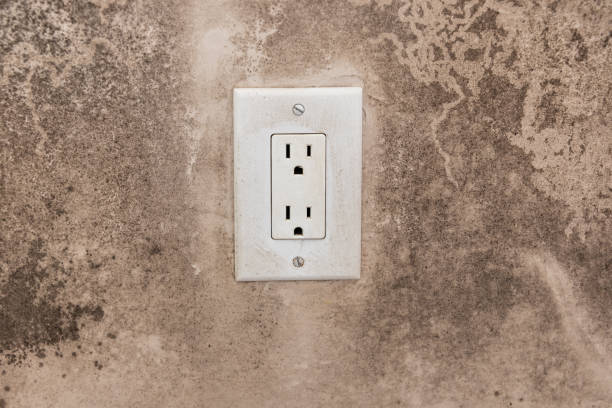 Reliable Fabens, TX Mold Removal Solutions